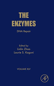 DNA Repair (Volume 45) (The Enzymes, Volume 45) DNA Repair (Volume 45) (The Enzymes, Volume 45)