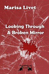 Looking Through A Broken Mirror