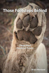 Those Footsteps Behind: Illustrated Poems of Travel Those Footsteps Behind: Illustrated Poems of Travel
