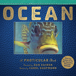Ocean: A Photicular Book