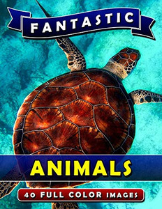 Fantastic Animals: Picture Book Gift For Adults, Seniors And People With Alzheimer'S & Dementia. Dementia Activities For Seniors Book. Fantastic Animals: Picture Book Gift For Adults, Seniors And People With Alzheimer'S & Dementia. Dementia Activities For Seniors Book.