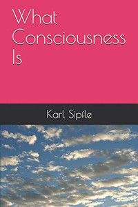 What Consciousness Is What Consciousness Is