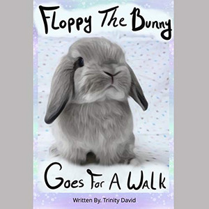 Floppy The Bunny Goes For A Walk Floppy The Bunny Goes For A Walk