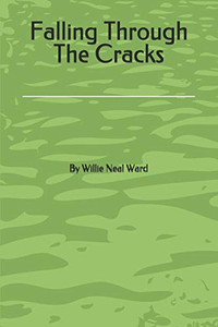 Falling Through The Cracks Falling Through The Cracks
