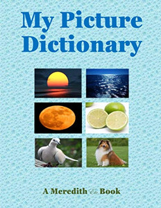 My Picture Dictionary My Picture Dictionary