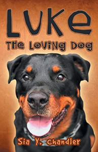 Luke The Loving Dog Luke The Loving Dog