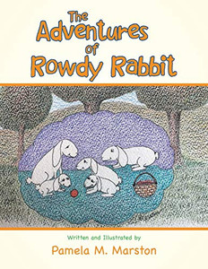 The Adventures Of Rowdy Rabbit The Adventures Of Rowdy Rabbit