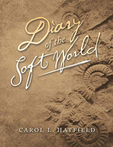 Diary Of The Soft World Diary Of The Soft World