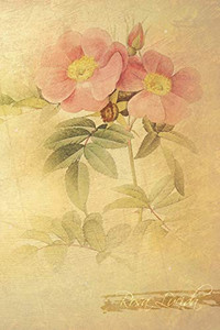 Rosa Lucida: Floral Notebook With Flower Illustrations On Every Page
