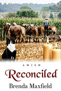 Reconciled (Hannah'S Story) Reconciled (Hannah'S Story)