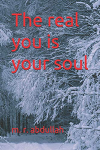 The Real You Is Your Soul The Real You Is Your Soul