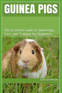 Guinea Pigs: The Essential Guide To Ownership, Care, And Training For Beginners
