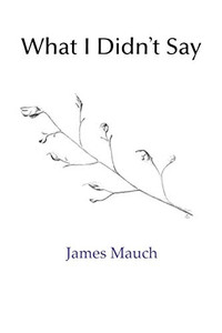 What I Didn'T Say What I Didn'T Say