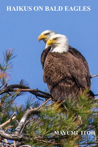 Haikus On Bald Eagles