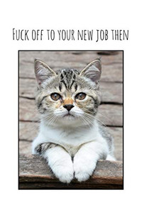 Fuck Off To Your New Job Then: Perfect Goodbye Gift For Coworker That Is Leaving / Going Away Gift For Your Co Worker, Boss, Manager, Employee. - 9781088688410 Fuck Off To Your New Job Then: Perfect Goodbye Gift For Coworker That Is Leaving / Going Away Gift For Your Co Worker, Boss, Manager, Employee. - 9781088688410