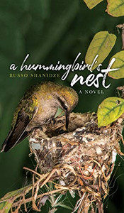 A Hummingbird'S Nest - 9781641115452