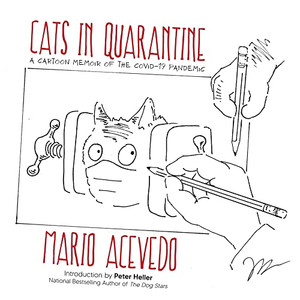 Cats In Quarantine Cats In Quarantine