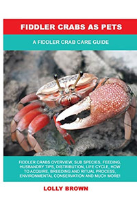 Fiddler Crabs As Pets: A Fiddler Crab Care Guide Fiddler Crabs As Pets: A Fiddler Crab Care Guide