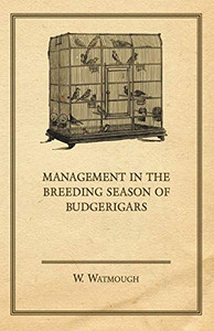 Management In The Breeding Season Of Budgerigars Management In The Breeding Season Of Budgerigars