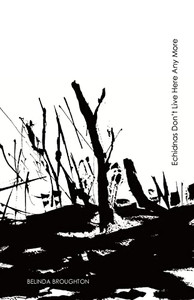 Echidnas Don'T Live Here Any More: Poems Of Loss And Recovery Since The Black Summer Bushfires