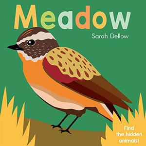 Now You See It! Meadow (Now You See It!, 4)