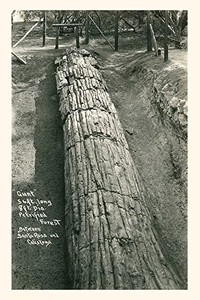 Vintage Journal Giant Petrified Log, Santa Rosa (Pocket Sized - Found Image Press Journals)