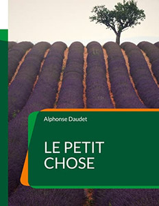 Le Petit Chose: Un Roman Autobiographique (French Edition) Le Petit Chose: Un Roman Autobiographique (French Edition)