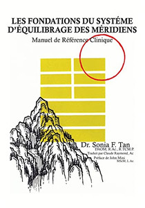Les Fondations Du Système D'Équilibrage Des Méridiens: Manuel De Référence Clinique (French Edition) Les Fondations Du Système D'Équilibrage Des Méridiens: Manuel De Référence Clinique (French Edition)