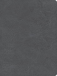 Csb He Reads Truth Bible, Smoke Leathertouch, Black Letter, Wide Margins, Notetaking Space, Reading Plans, Easy-To-Read Bible Serif Type