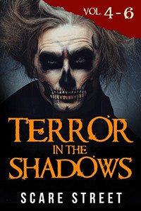 Terror in the Shadows Volumes 4 - 6: Scary Ghosts, Paranormal & Supernatural Horror Short Stories Anthology