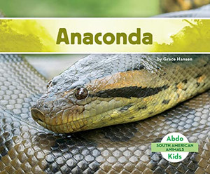 Anaconda (South American Animals) Anaconda (South American Animals)