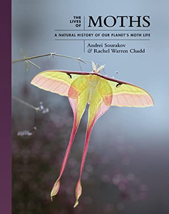 The Lives Of Moths: A Natural History Of Our Planet's Moth Life (The Lives Of The Natural World, 1)