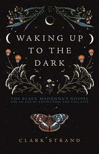 Waking Up To The Dark: The Black Madonna's Gospel For An Age Of Extinction And Collapse