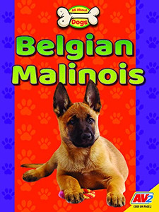 Belgian Malinois (All About Dogs)