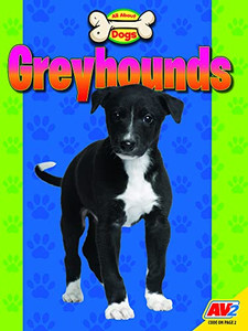 Greyhounds (All About Dogs)