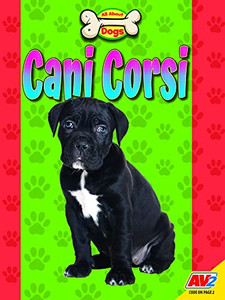 Cani Corsi (All About Dogs)