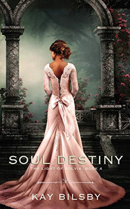 soul destiny (the light of solvia)