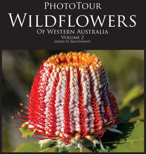 Phototour Wildflowers Of Western Australia Vol2: A Photographic Journey Through A Natural Kaleidoscope