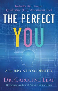 The Perfect You: A Blueprint For Identity