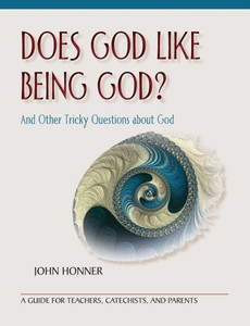 Does God Like Being God?: And Other Tricky Questions About God