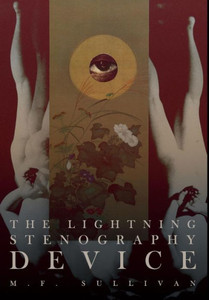 The Lightning Stenography Device The Lightning Stenography Device