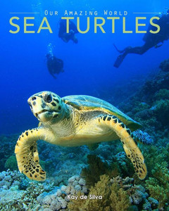 Sea Turtles: Amazing Pictures & Fun Facts On Animals In Nature Sea Turtles: Amazing Pictures & Fun Facts On Animals In Nature