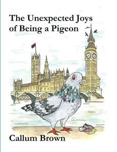 The Unexpected Joys Of Being A Pigeon The Unexpected Joys Of Being A Pigeon