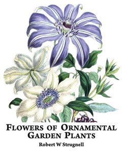 Flowers Of Ornamental Garden Plants Flowers Of Ornamental Garden Plants