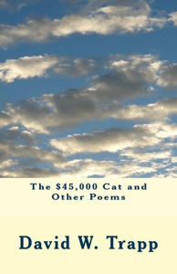 The $45,000 Cat And Other Poems The $45,000 Cat And Other Poems
