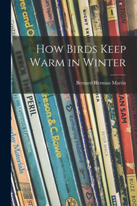 How Birds Keep Warm In Winter How Birds Keep Warm In Winter