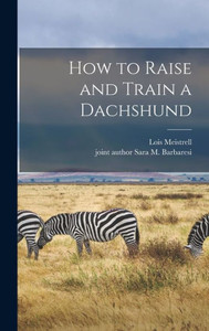 How To Raise And Train A Dachshund How To Raise And Train A Dachshund
