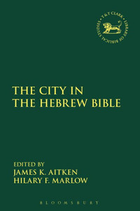 The City In The Hebrew Bible: Critical, Literary And Exegetical Approaches (The Library Of Hebrew Bible/Old Testament Studies, 672)