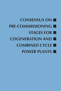Consensus On Pre-Commissioning Stages For Cogeneration And Combined Cycle Power Plants