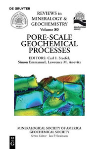 Pore Scale Geochemical Processes (Reviews In Mineralogy & Geochemistry)